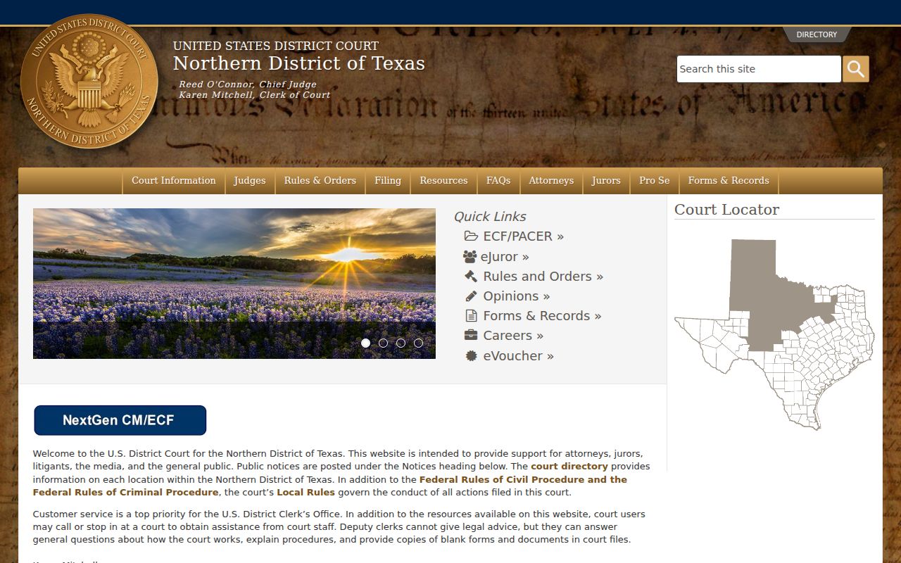 Mitchell County criminal history Northern District of Texas court